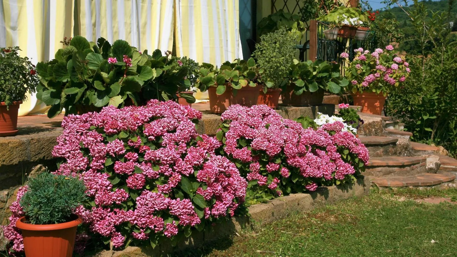 Agriturismo Agri E Arte Manciano