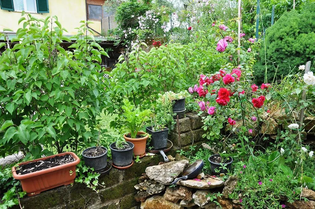 Agriturismo Agri E Arte Manciano Farm stay