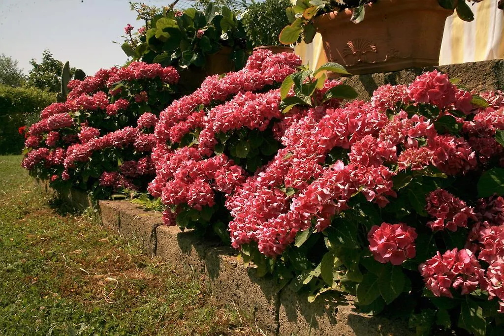 Farm stay Agriturismo Agri E Arte Manciano